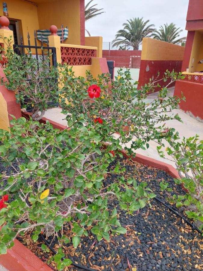 La Paloma Buena Esperanza Apartment Costa De Antigua Luaran gambar
